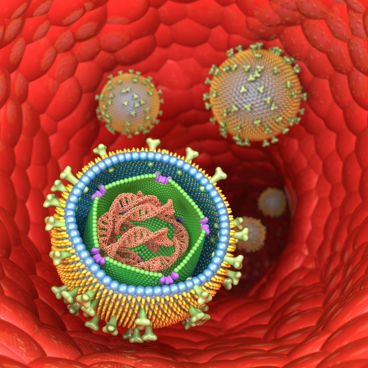 Représentation 3D de la structure du virus d'Epstein-Barr (mononucléose infectieuse) dans les cellules humaines