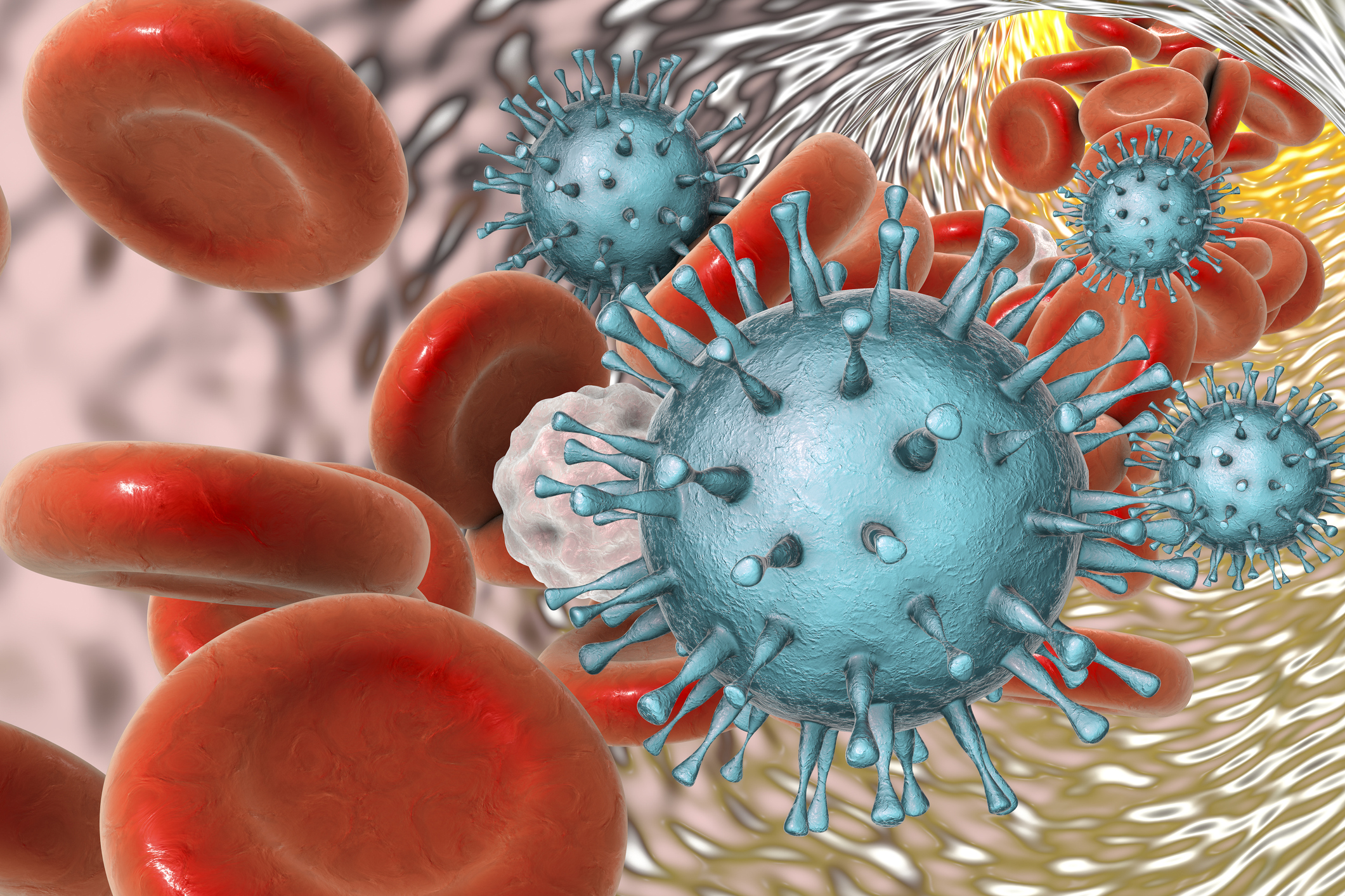 Cytomégalovirus dans le sang