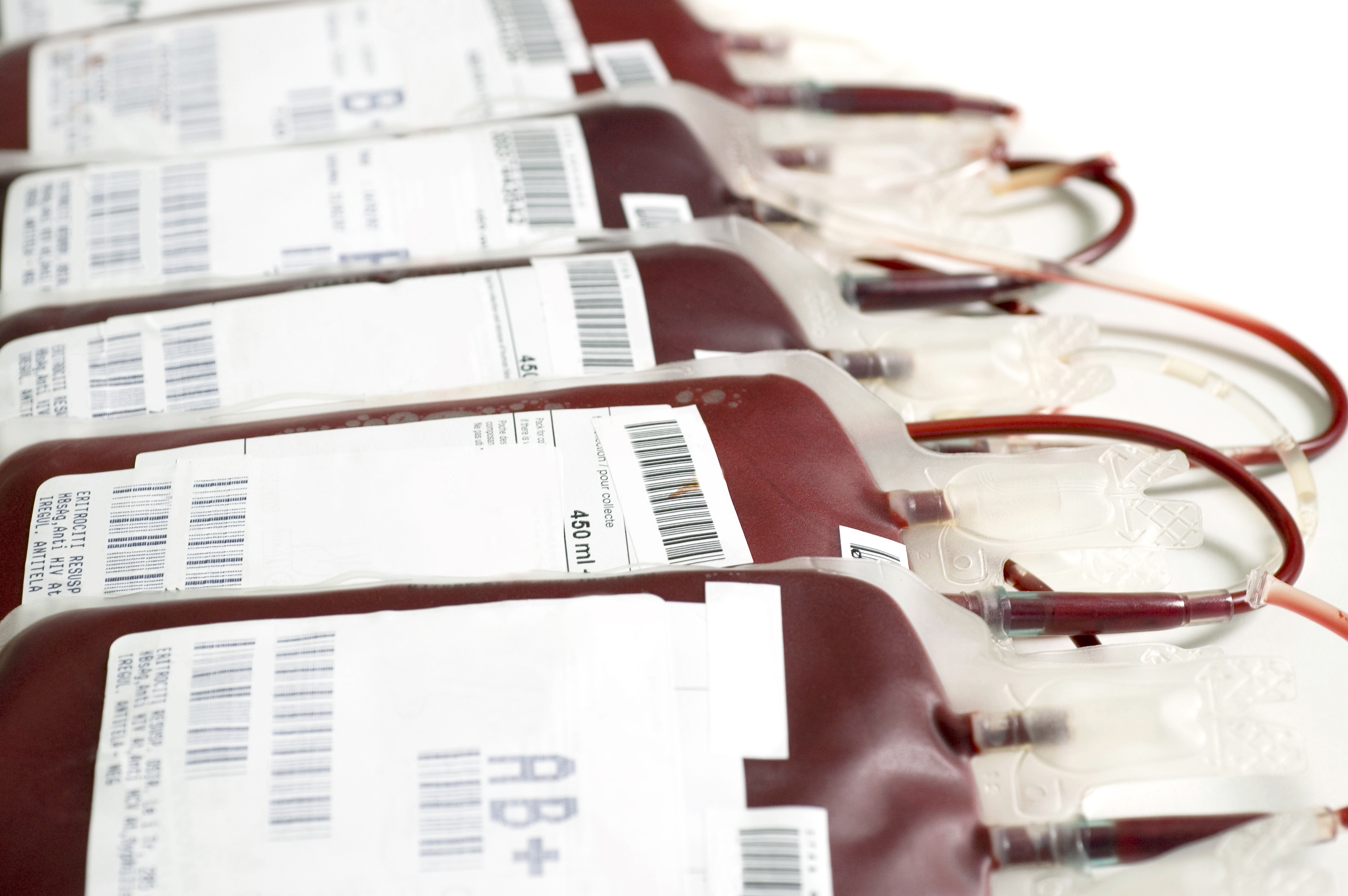 Sang prêt pour la transfusion