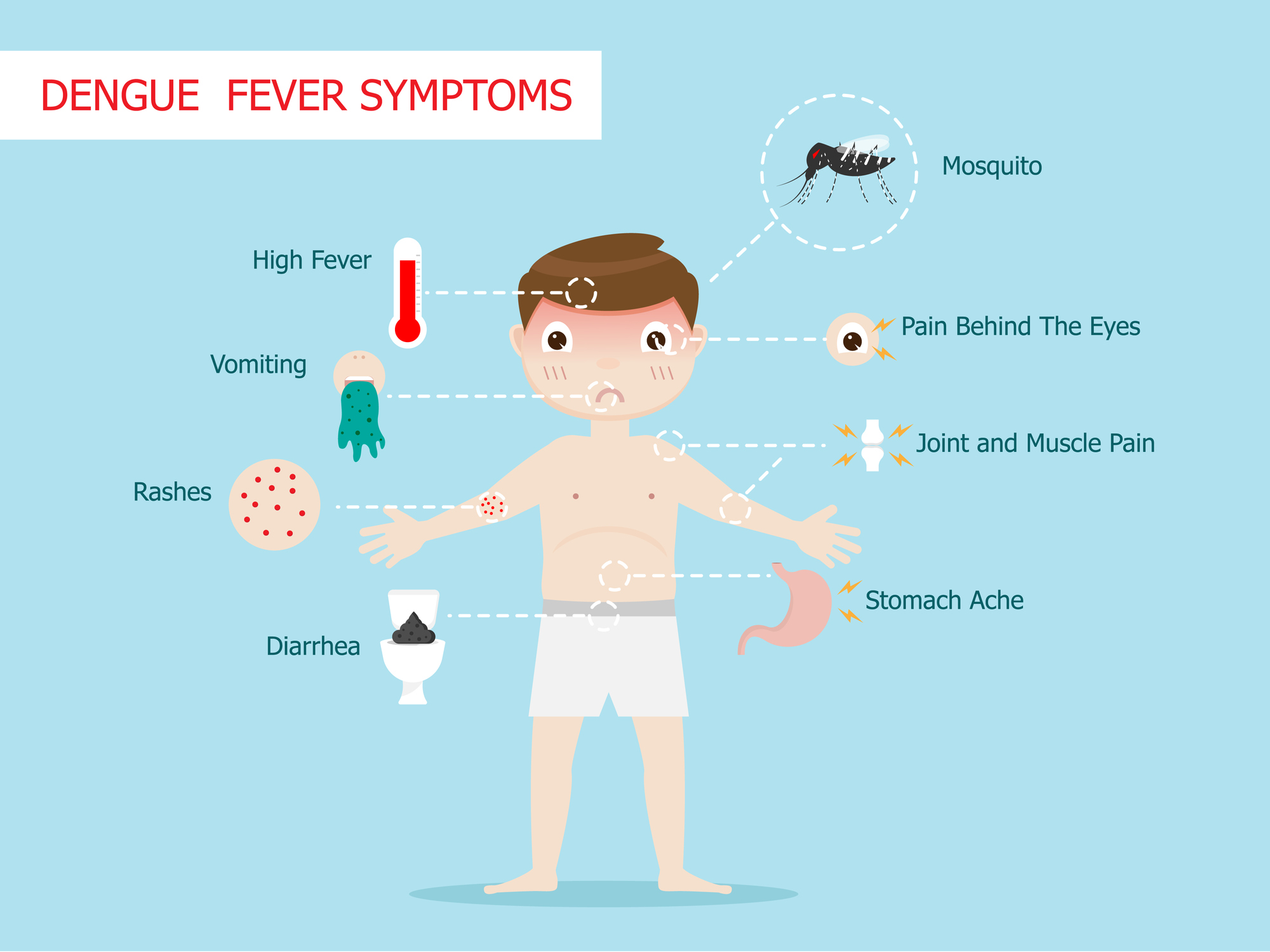 Symptômes de la dengue