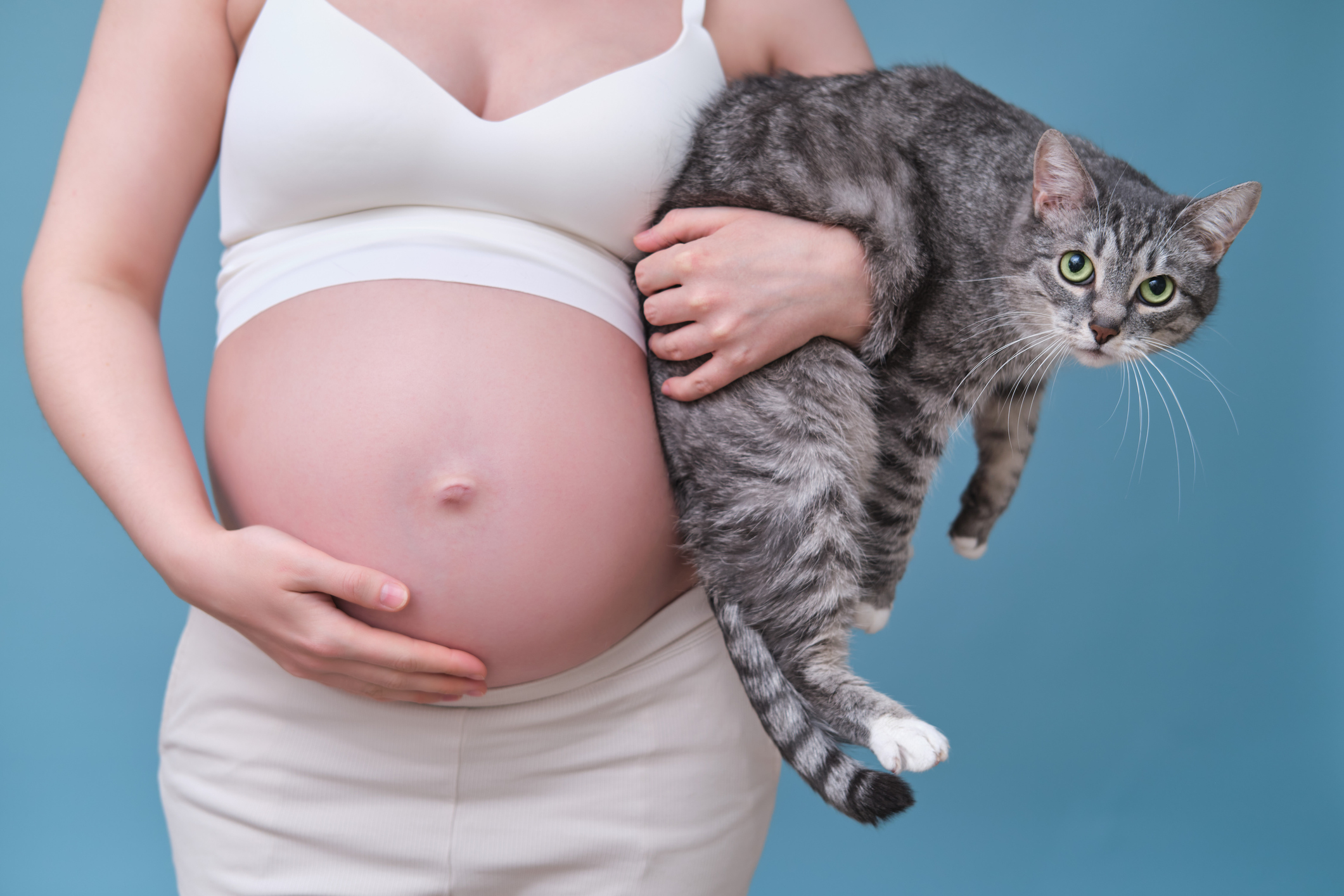 Femme enceinte tenant un chat