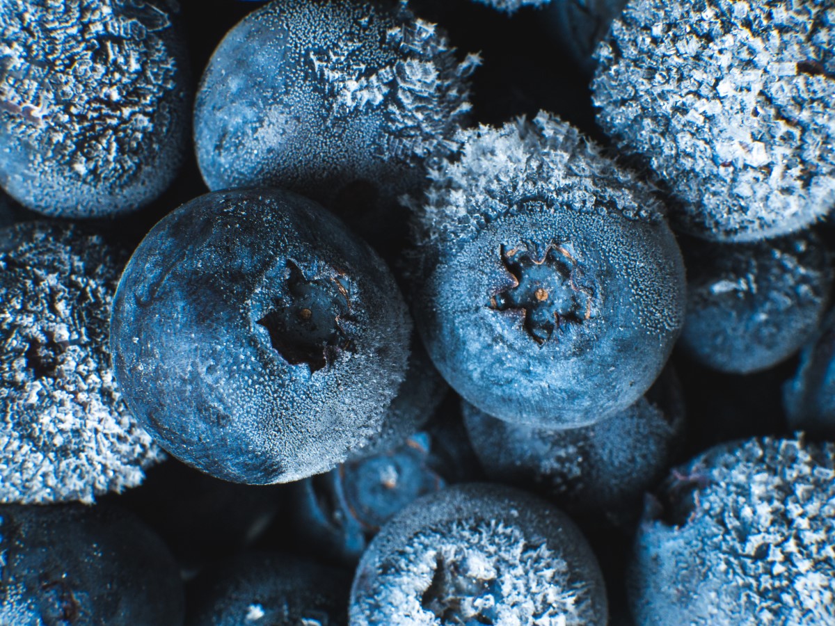 Les myrtilles surgelées comme source de vitamine C