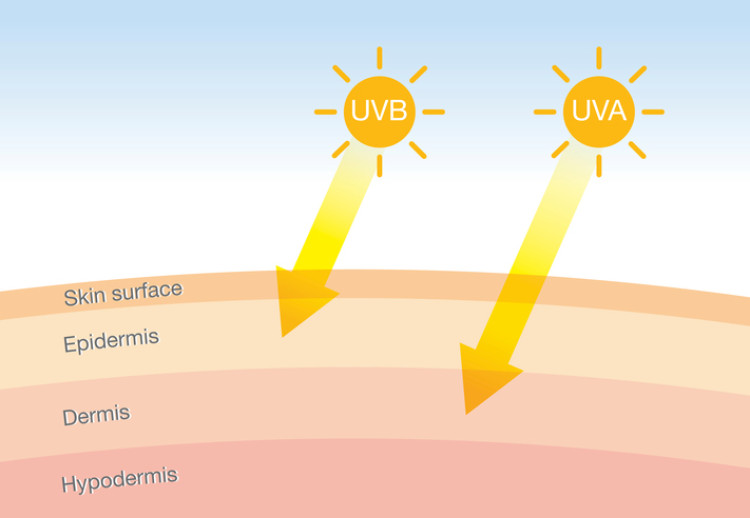 Rayonnement ultraviolet pénétrant dans la peau, représentation schématique