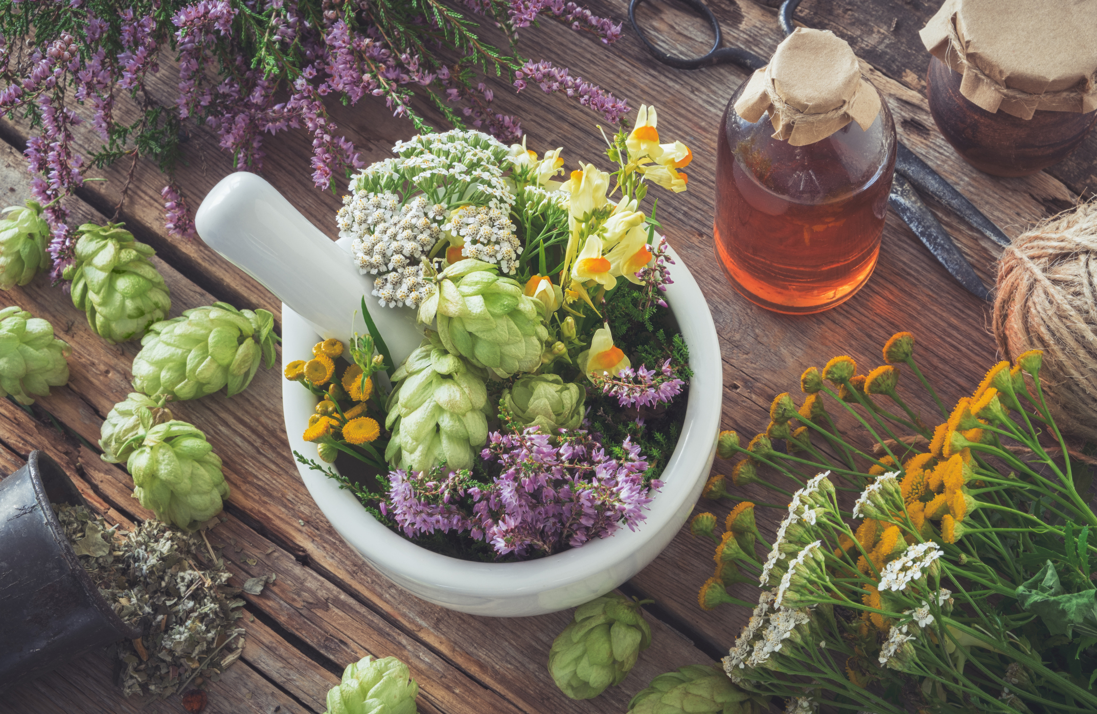 Les substances anxiolytiques se trouvent dans la nature, même dans les aliments. 