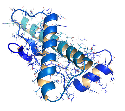 structure microscopique de la protéine prion