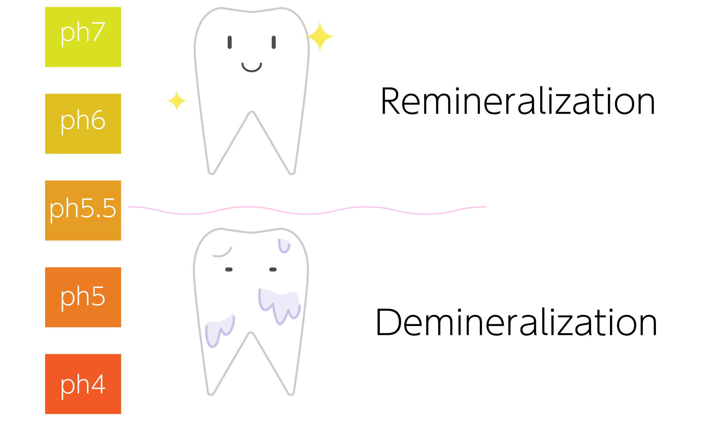 La valeur critique du pH de la salive est considérée comme étant de 5,5. À cette valeur, le processus de déminéralisation de l'émail des dents commence.