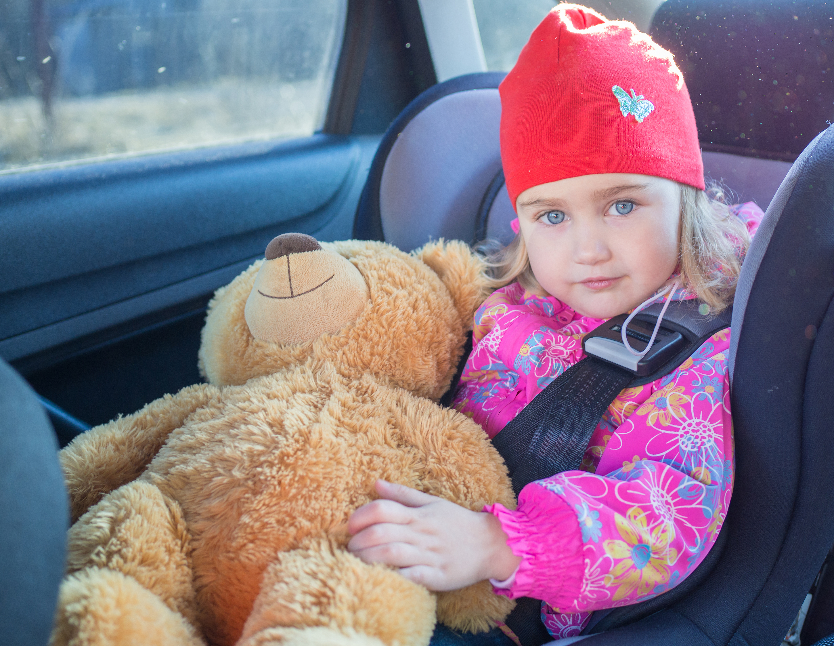 Bébé dans un siège auto, assis, regardant, l'air satisfait, tenant un ours en peluche