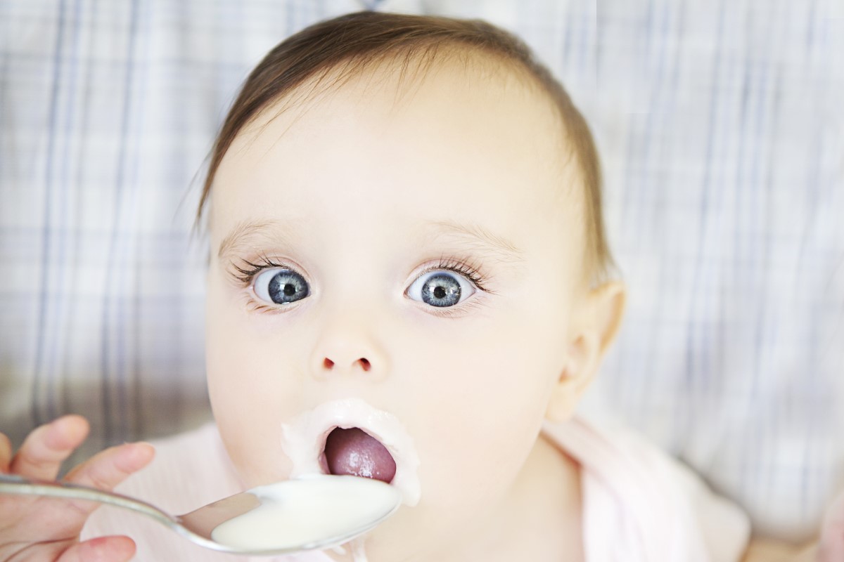 Régime avec de grands yeux mangeant du yaourt