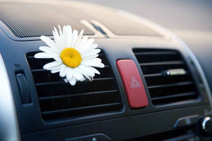 Climatisation de la voiture, échappement de l'air, fleur, arôme agréable, entretien