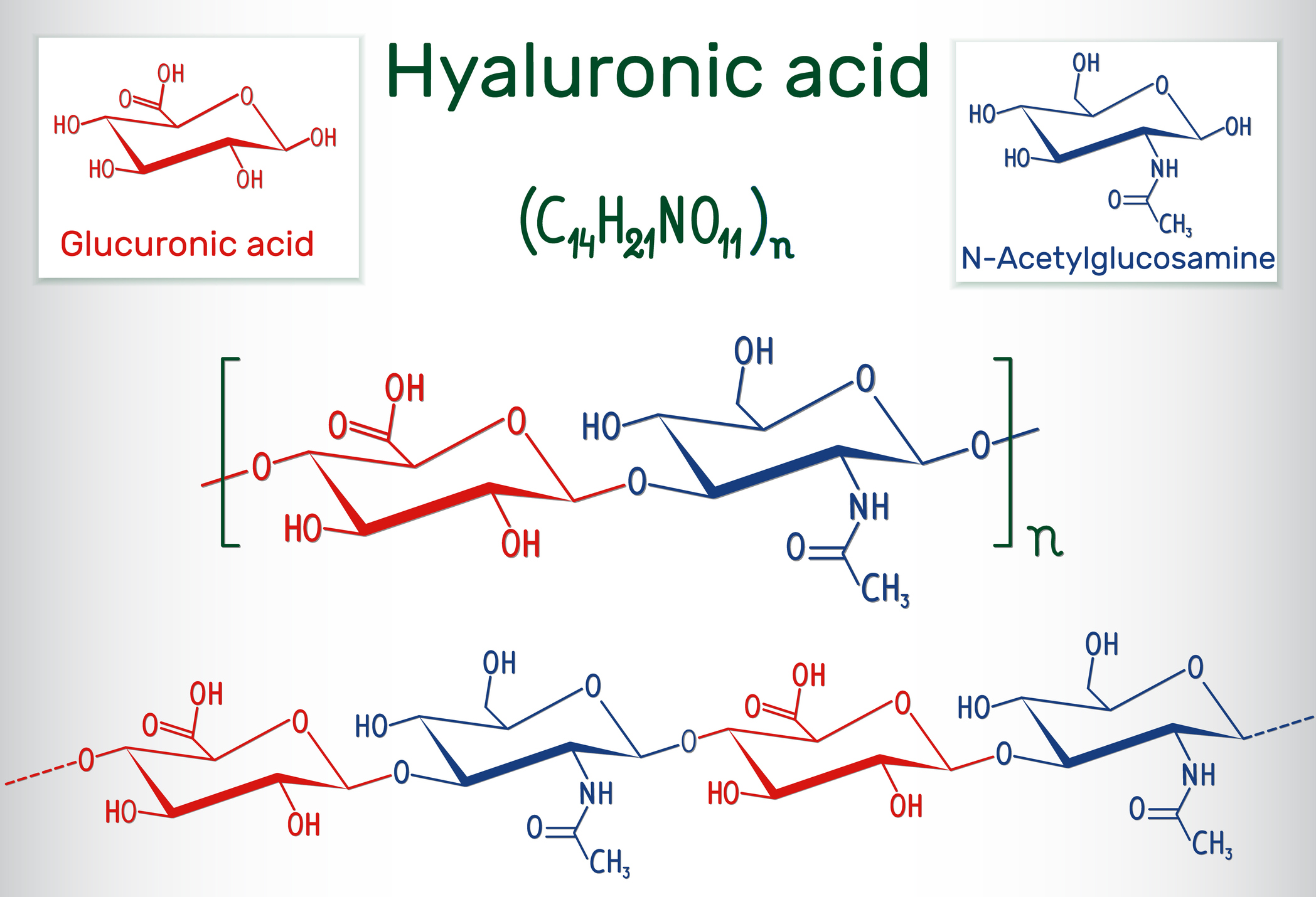 Composition de l'acide hyaluronique