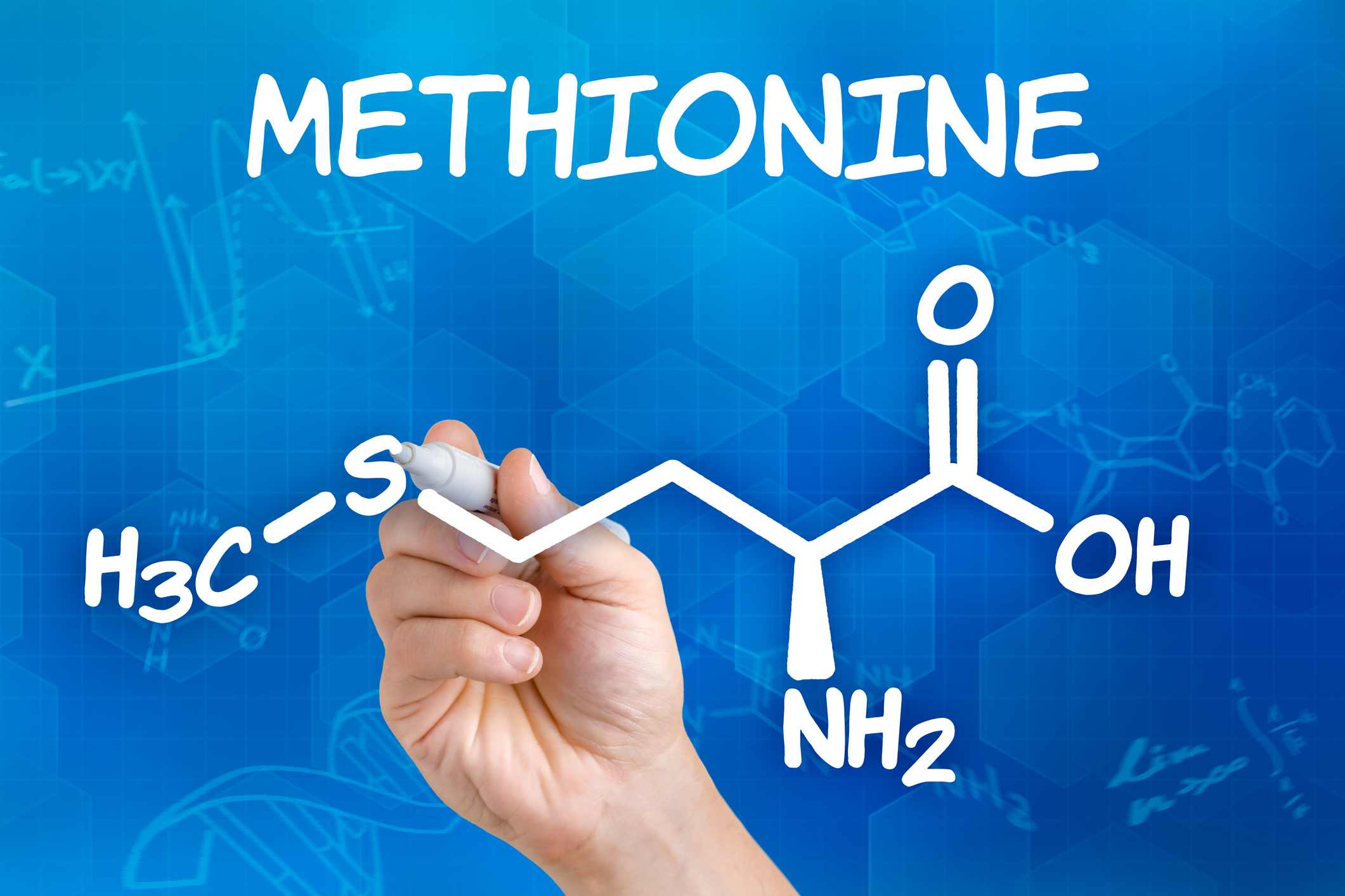 La quasi-totalité du soufre pénètre dans l'organisme par l'intermédiaire de deux acides aminés : la méthionine et la cystéine.