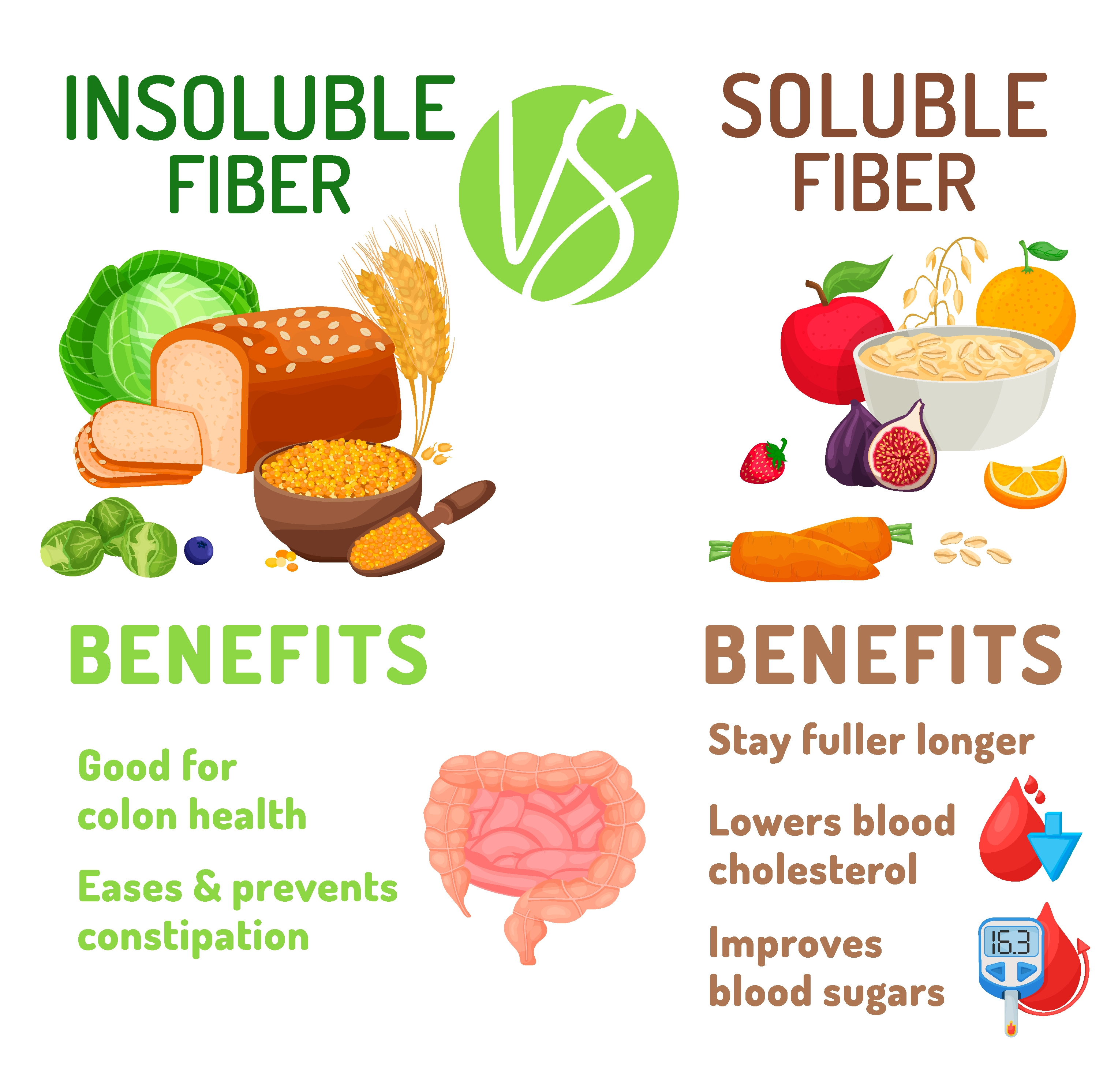 Fibres solubles et insolubles