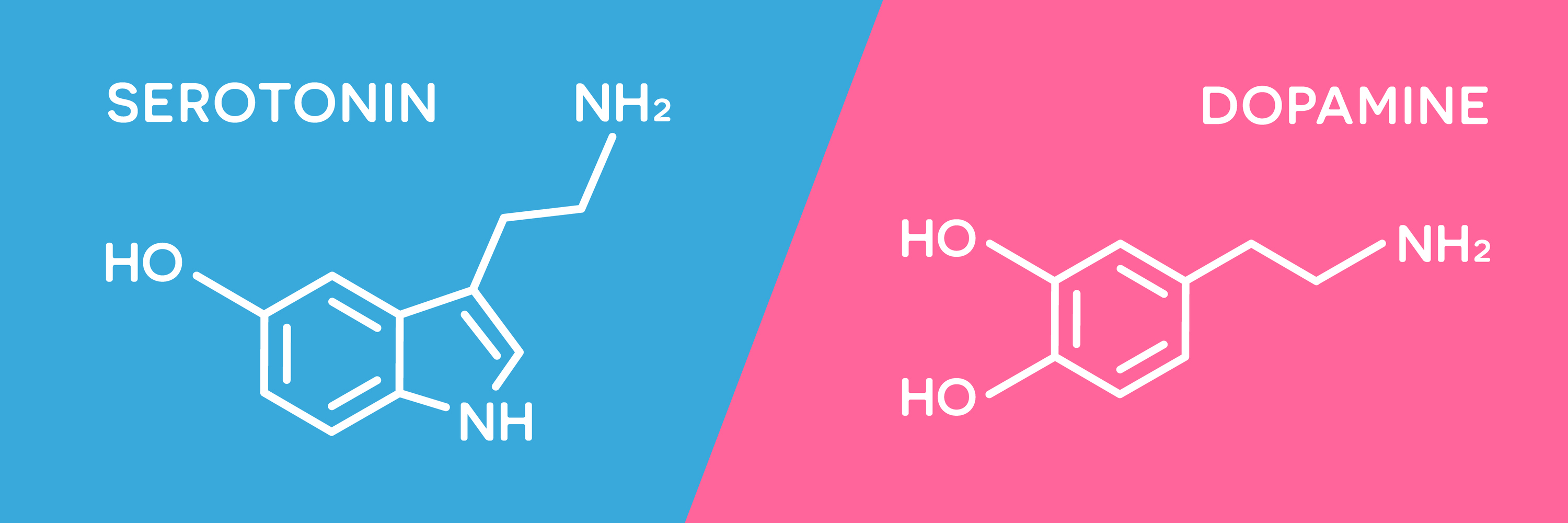 Un déséquilibre des taux de sérotonine ou de dopamine peut entraîner des troubles anxieux. 