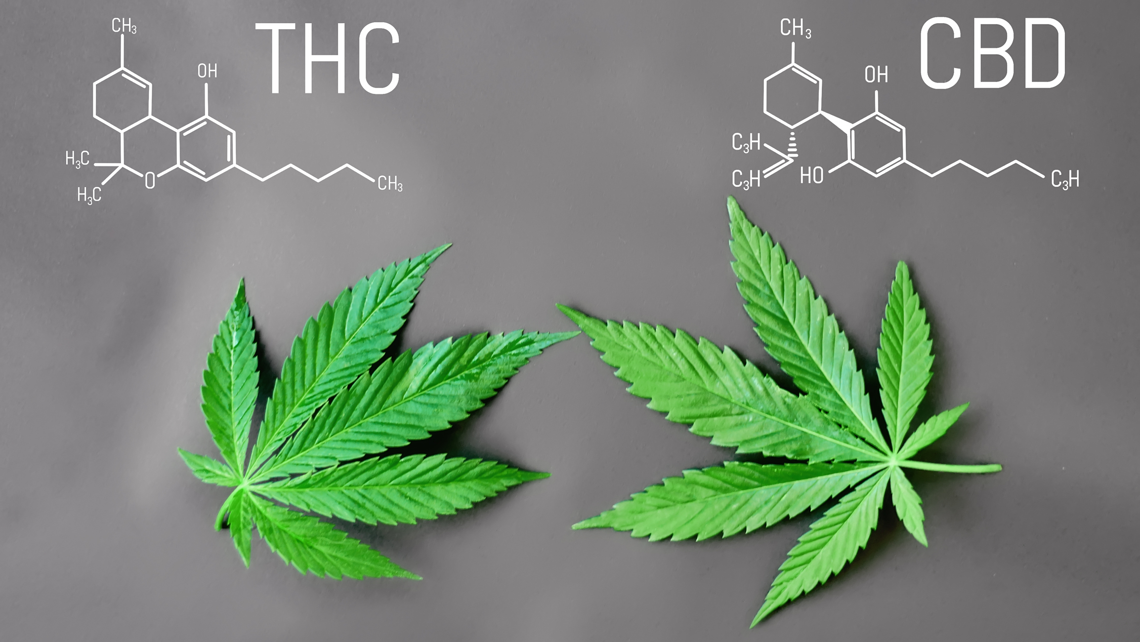 Molécules de THC et de CBD