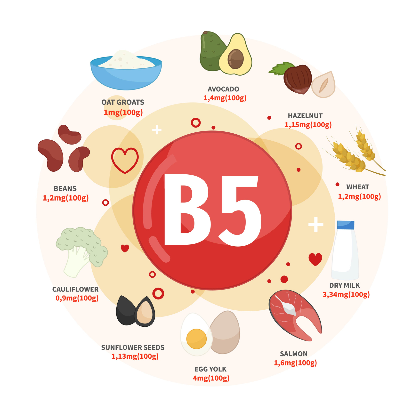 Les meilleures sources de vitamine B5 sont les avocats, les noisettes, le blé, le lait, le saumon, les œufs, les graines de tournesol, le chou-fleur, les haricots, les flocons d'avoine. 