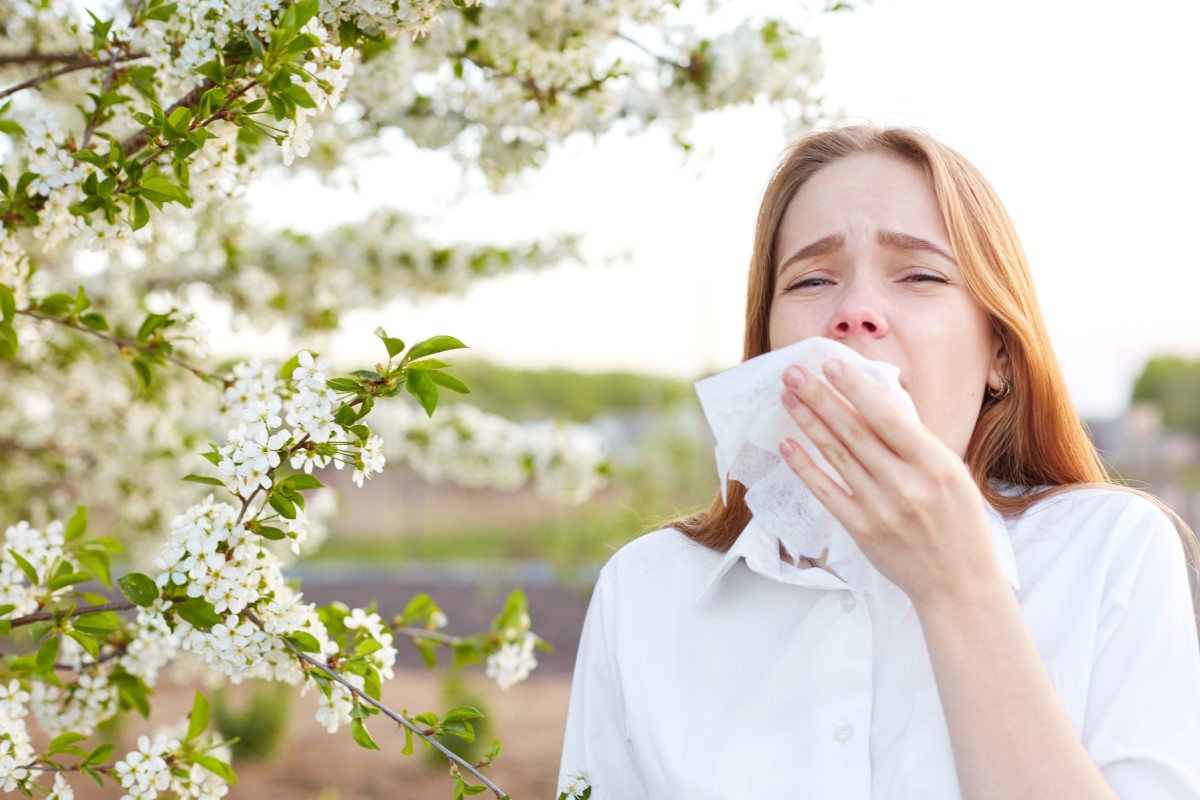 Les allergies entraînant des éternuements fréquents et un écoulement nasal peuvent provoquer des saignements de nez.