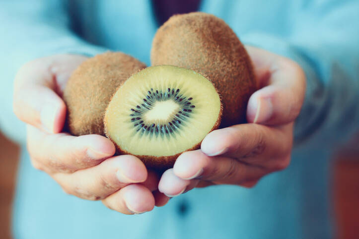 Le kiwi est un fruit plein de substances médicinales. Où peut-on le cultiver ?