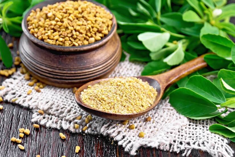 Fenugrec (fenugreek) : quels sont ses effets sur la santé, la libido ?