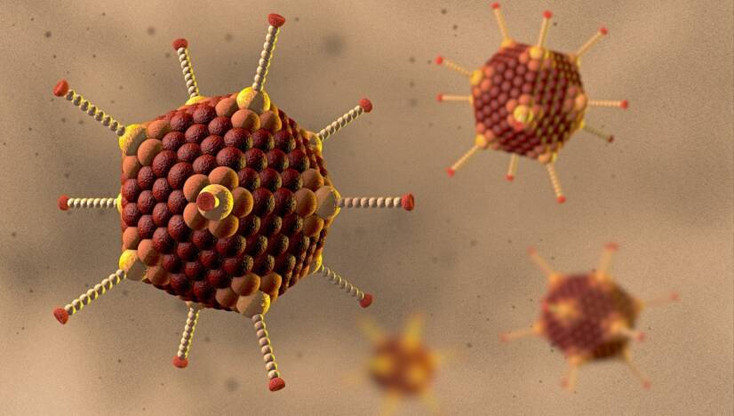 Infection à adénovirus : qu'est-ce que l'adénovirus, comment se transmet-il et quels sont ses symptômes ?