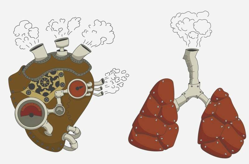 Hypertension pulmonaire : qu'est-ce que c'est et pourquoi cela se produit-il ? + Symptômes et traitement