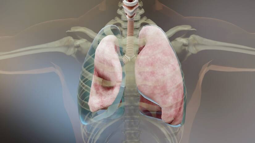 Pneumothorax (air dans la poitrine) : causes, symptômes et premiers secours