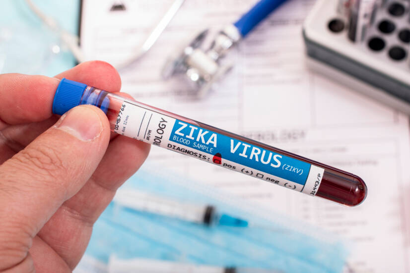 Le virus Zika : qu'est-ce que c'est, comment se transmet-il et quels sont les symptômes ?