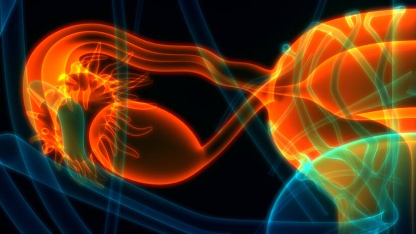 Inflammation des ovaires (oophorite) et inflammation des appendices utérins (annexite)