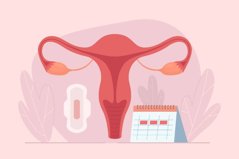 Comment fonctionne le cycle menstruel ? Durée et phases du cycle + symptômes