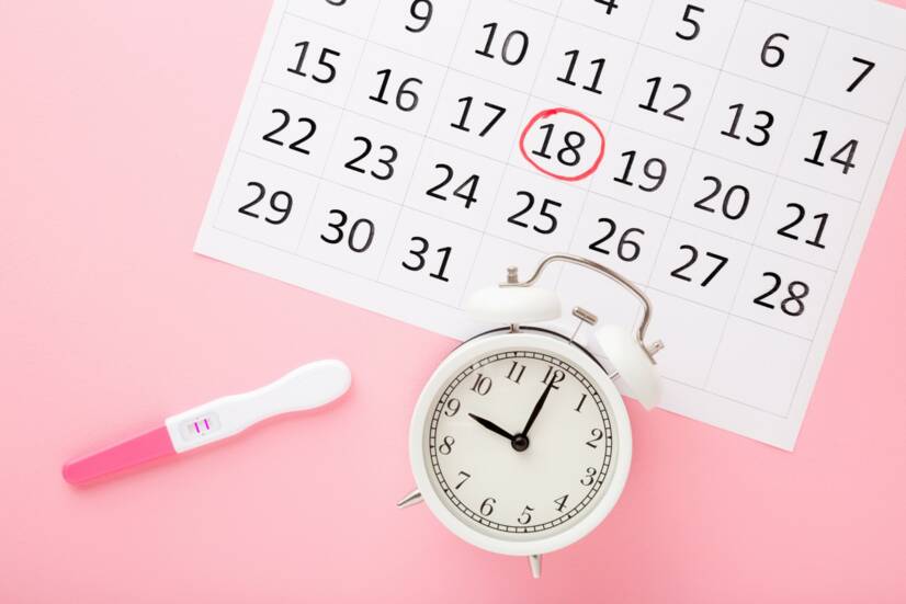 L'ovulation, le calcul des jours fertiles et infertiles, comment planifier une grossesse ?