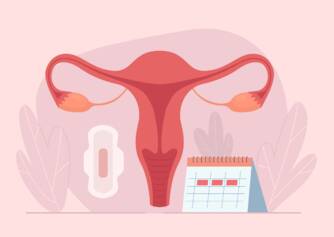 Comment fonctionne le cycle menstruel ? Durée et phases du cycle + symptômes