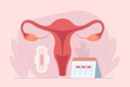 Comment fonctionne le cycle menstruel ? Durée et phases du cycle + symptômes