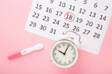 L'ovulation, le calcul des jours fertiles et infertiles, comment planifier une grossesse ?